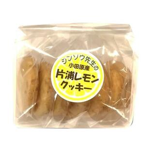 低たんぱく 腎臓病食 低たんぱくお菓子 オトコーポレーション ジンゾウ先生の片浦レモンクッキー 10g×7枚の画像