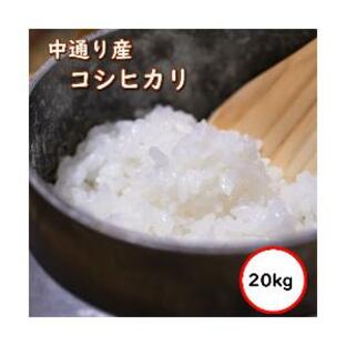 令和5年産 送料無料 無洗米 セー価格9,680円 お米 20kg コシヒカリ 米 福島中通り産 選べる精米方法の画像