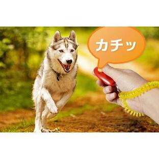 犬 クリッカー しつけ クリッカートレーニング 犬笛 無駄吠え防止 躾 訓練 クリック音 犬 猫 インコ ペットの画像