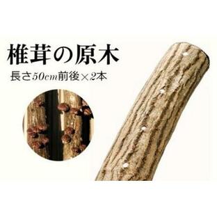 ふるさと納税 111．我が家で栽培してみよう ジャンボ椎茸の原木 鳥取県若桜町の画像