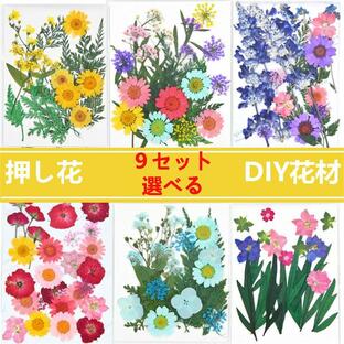 【48h限定999→880円】9セット選べる 天然花 押し花 ハンドメイド 押し花アート デコパーツ ドライフラワー DIY 化粧 手芸 パーツ ブリザードフラワー キットの画像