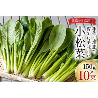 ふるさと納税 【BH013】小松菜 150g×10束 長崎県島原市の画像
