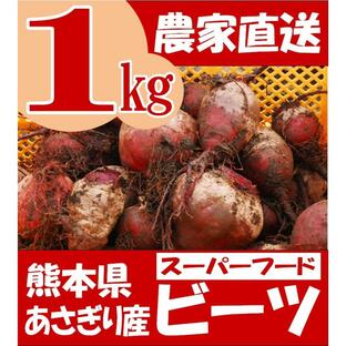 有機 ビーツ 1kg 熊本県あさぎり町産 野菜 栄養 予約販売の画像