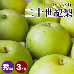 梨王国鳥取 予約 梨 二十世紀梨 20世紀梨 2.5-3kgセット Lサイズ 7玉相当 鳥取県産 なし 和梨 ご贈答用 秀玉 山田農園 9月上旬受付順出荷予定の画像