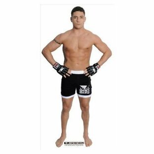 Advanced Graphics 1055 Diego Sanchez - MMA Fighter Cardboard Stand-Up フィギュア おもちゃ 人形の画像