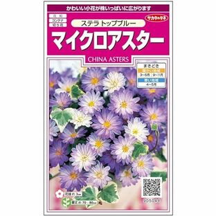 サカタのタネ 実咲花5048 マイクロアスターステラ トップブルーの画像