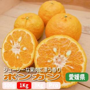 ポンカン ８〜１０個 １Ｋｇ程度 ジューシーな果肉を持つ香りも良い柑橘 愛媛県産の画像