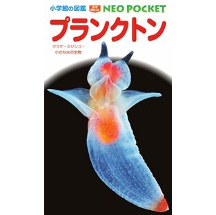 プランクトン: クラゲ・ミジンコ・小さな水の生物 (小学館の図鑑NEO POCKET)の画像