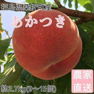 桃 あかつき 2.7kg(9〜15個) 福島桑折町産 通常品 7月下旬-8月上旬お届け 常温配送の画像