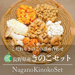 長野県産きのこセット 8種類 シイタケ ヒラタケ マイタケ ブナシメジ ブナピー エリンギ エノキ ナメコ 各1パック（8パック）約1kgの画像