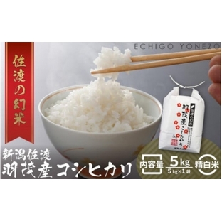 羽茂産コシヒカリ 佐渡の幻米 白米 5kg 特選限定米の画像