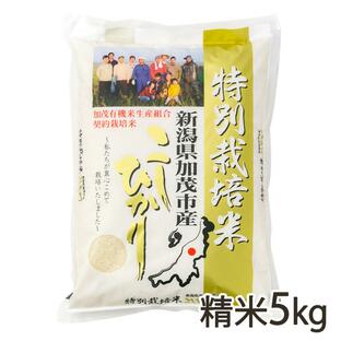 【令和5年度米】新潟県産コシヒカリ（特別栽培米）精米5kg/加茂有機米生産組合/送料無料の画像