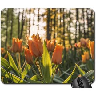 Mouse Pad - Nature Plants Flowers Tulips Outdoors Park Garden 並行輸入品の画像