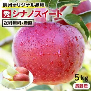 りんご シナノスイート 5kg 長野県産 秀品 送料無料 産地直送 -Y10J 葉とらずリンゴ お取り寄せ 旬の果物 贈答用 贈り物 ギフトの画像