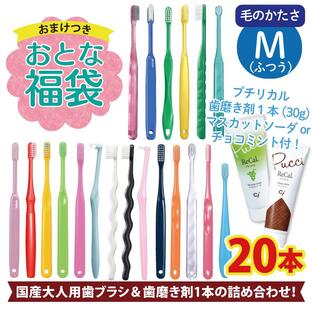 歯科専用 歯ブラシ アソート20本セット福袋 歯みがき粉おまけ付 歯ブラシは全て日本製のこだわり福袋 おとな歯ブラシ福袋 (メール便2点まで)の画像