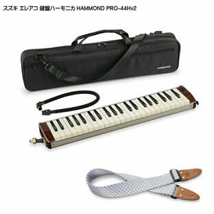スズキ エレアコ鍵盤ハーモニカ HAMMOND PRO-44Hv2 ストラップ(KSS)付き SUZUKIの画像