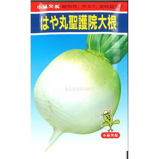 【代引不可】【送料5袋まで80円】 □ダイコン はや丸聖護院大根の画像