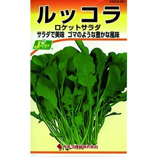 カネコ種苗 野菜タネハイクオリティ281 ルッコラ ロケットサラダ 10袋セットの画像