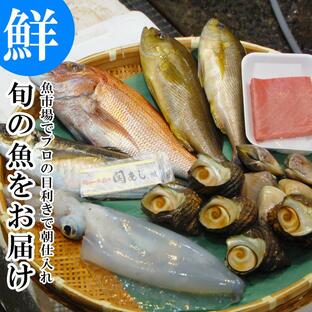 鮮魚 直送 魚市場から！ 旬の魚介 鮮魚 おまかせセット 極 関アジ または 関サバ が必ず入る 大分市 公設地方 卸売の画像