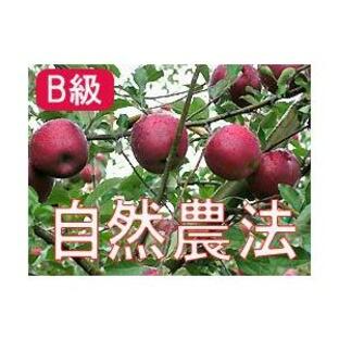 りんご 林檎 リンゴ (家庭用) 竹嶋有機農園の自然農法りんご 紅玉 (約4.5kg)※B級品 ※お取り寄せグルメの画像