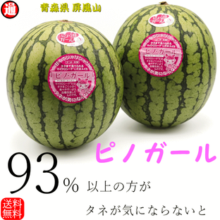 予約 ピノガール 2玉 すいか 送料無料 ( 小玉 1.5～2.0kg×2 ) マツコの知らない世界で絶賛 シャリ感と甘さタネまで食べれる ピノ・ガール 青森県 黒養土 有機肥料栽培 屏風山 地区 スイカ 西瓜 グルメ食品 産直 アグリビーツ 合同会社の画像