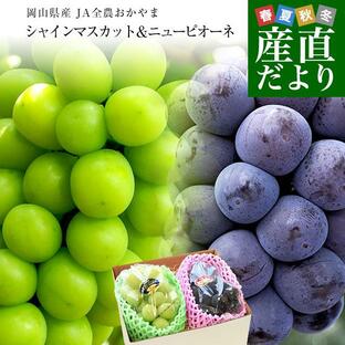 岡山県産 JA全農おかやま シャインマスカット＆ニューピオーネセット 青秀品以上 大房 合計 約1.2キロ (2房）ぶどう ※クール便の画像