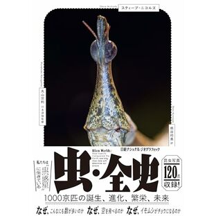 虫・全史 1000京匹の誕生、進化、繁栄、未来の画像