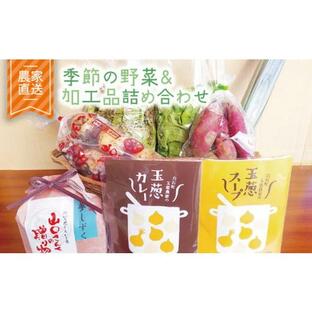 ふるさと納税 佐賀県 白石町 【農家直送！】季節のお野菜＆加工品の詰め合わせセット【AGUMIGroup（農業女子グループ）】 [IAT001]の画像