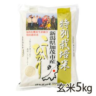 【令和5年度米】新潟県産コシヒカリ（特別栽培米）玄米5kg/加茂有機米生産組合/送料無料の画像