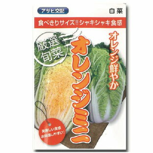 白菜 種 【オレンジミニ】 小袋（ 種 野菜 野菜種子 野菜種 ）の画像