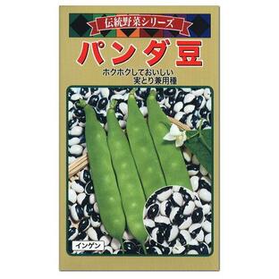 トーホク パンダ豆 つるありいんげん 種 家庭菜園 シャチ豆 インゲンのタネ 緑のカーテン グリーンカーテン たね 種子 夏野菜 メール便対応の画像