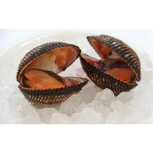 ふるさと納税 大分県 豊後高田市 新鮮！美味しい赤貝（5kg）の画像