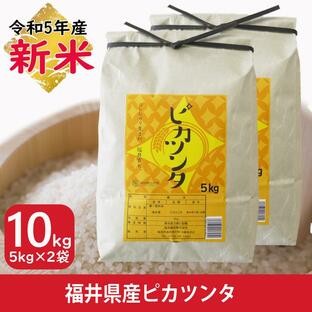 米 10kg 5kg×2袋 ピカツンタ 福井県産 白米 令和5年産 送料無料の画像