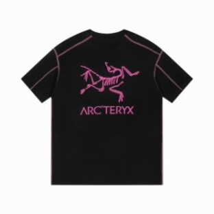 ARCTERYX アークテリクス ブラック ピンク 始祖鳥 半袖Tシャツの画像