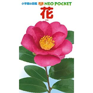 花 (小学館の図鑑NEO POCKET)の画像