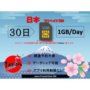 日本国内用 プリペイド SIMカード docomo回線 4G/LTE対応 データ通信 30日間 データ容量30GB 使い捨て 128kbps速度で無制限 即時開通 送料無料 一時帰国の画像