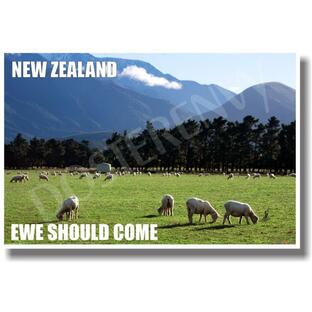 New Zealand - Ewe Should Come - NEW World Travel Posterの画像