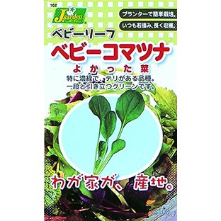 カネコ種苗 ベビーリーフタネ702 ベビーコナツナ よっかた菜 10袋セットの画像