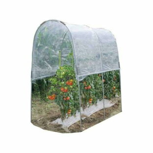 南栄工業 トマトの屋根 本体一式 0.6坪 1畝用 雨よけ ハウス ビニールハウス 夏野菜 お客様組立 トマト 家庭菜園 農業 NT-18の画像