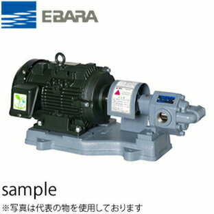 エバラ 歯車ポンプ 三相200V 50Hz 20mm 20GPF51.5Bの画像