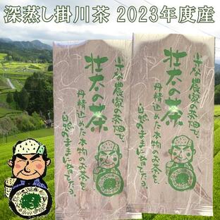お茶 新茶 2024 100ｇ×２本 緑茶 日本茶 静岡県 深蒸し掛川茶 の画像