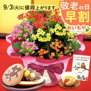 敬老の日 プレゼント 80代 花 ギフト 2024 お菓子 スイーツ カランコエ 花とスイーツ 鉢植え 花鉢 おしゃれ 和菓子 祖母 孫 施設 60代 70代の画像