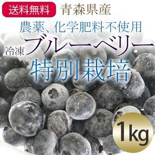 （冷凍）青森県産冷凍ブルーベリー果実（農薬・化学肥料不使用/特別栽培）※サイズ混合約1kg 国産の画像