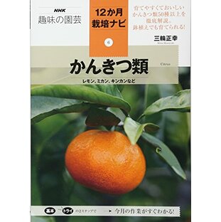 かんきつ類―レモン、ミカン、キンカンなど (NHK趣味の園芸12か月栽培ナビ(6))の画像