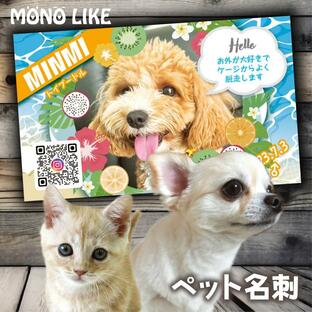 【LINEで簡単♪】ペット 名刺 うちの子名刺 写真入り 犬 イヌ 猫 ネコ うさぎ ドッグラン 交流会 ペットホテル ペットオーナー ペットグッズ 散歩 公園の画像