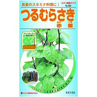 カネコ種苗 野菜タネ560 つるむらさき 赤茎 10袋セットの画像
