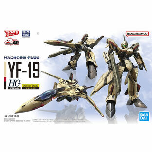 BANDAI SPIRITS バンダイスピリッツ HG 1/100 マクロスプラス YF-19の画像