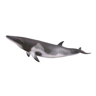 コレクタ／COLLECTA 88862 ミンククジラ 動物フィギュアの画像