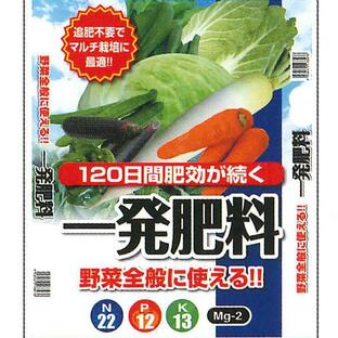 セントラルグリーン 一発肥料 野菜全般用 10kg トマト ナス キュウリ ピーマン キャベツ 白菜の画像