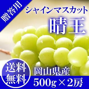 2024 ギフト 岡山県産 シャインマスカット 晴王 青秀品 2房（500g×2） 贈答用 御中元 葡萄 ぶどう ブドウ プレゼント 御礼 御祝 御供 果物 フルーツの画像